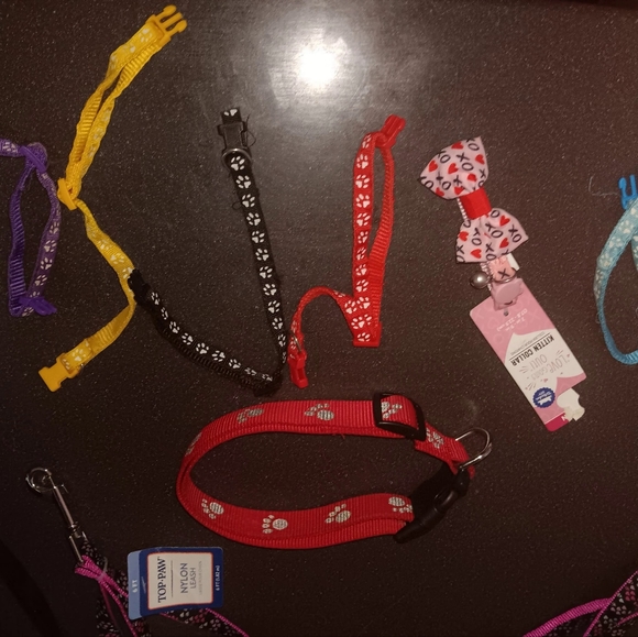 Leashes - Picture 13 of 15